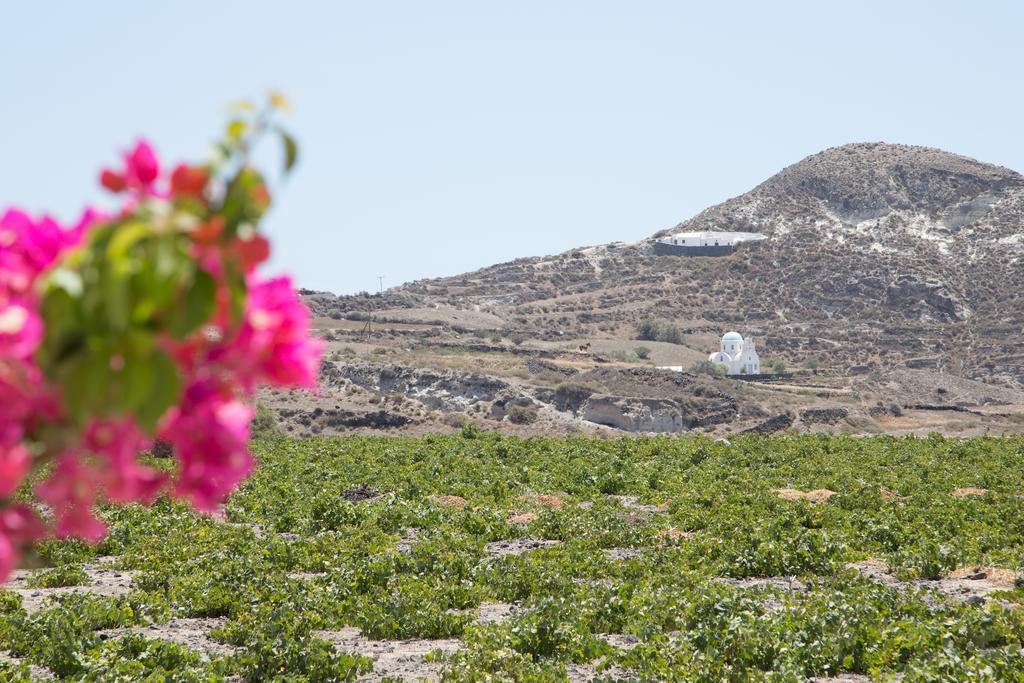 Maison Marilia Akrotiri  Luaran gambar
